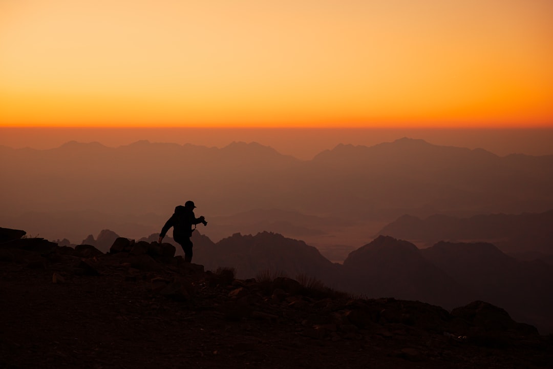 From Cubicle to Cliff: A Hilarious Journey into the Wild